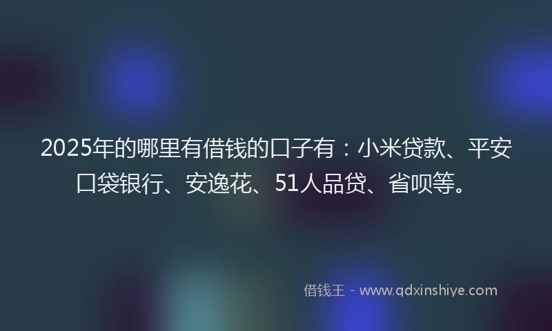 2025年的哪里有借钱的口子有：小米贷款、平安口袋银行、安逸花、51人品贷、省呗等。