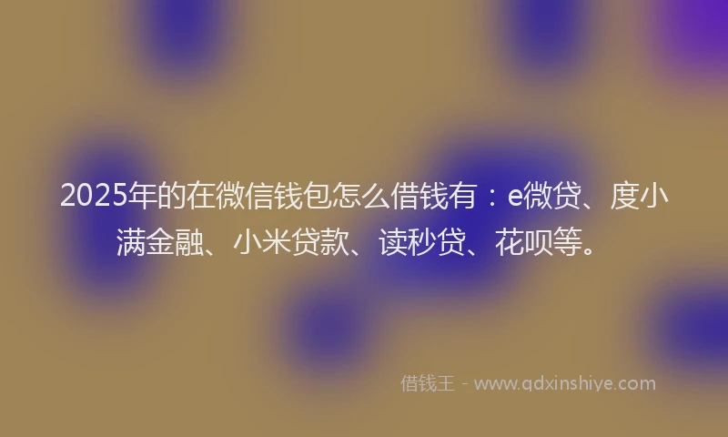 2025年的在微信钱包怎么借钱有：e微贷、度小满金融、小米贷款、读秒贷、花呗等。