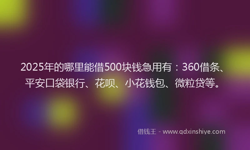 2025年的哪里能借500块钱急用有：360借条、平安口袋银行、花呗、小花钱包、微粒贷等。