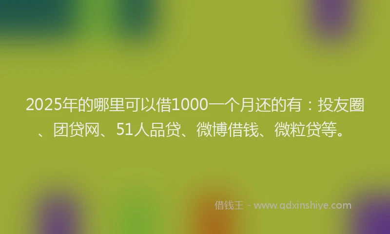2025年的哪里可以借1000一个月还的有：投友圈、团贷网、51人品贷、微博借钱、微粒贷等。
