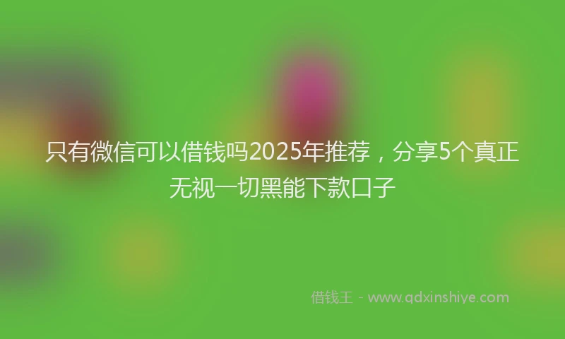 只有微信可以借钱吗2025年推荐，分享5个真正无视一切黑能下款口子