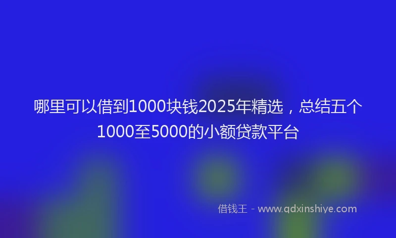 哪里可以借到1000块钱2025年精选，总结五个1000至5000的小额贷款平台