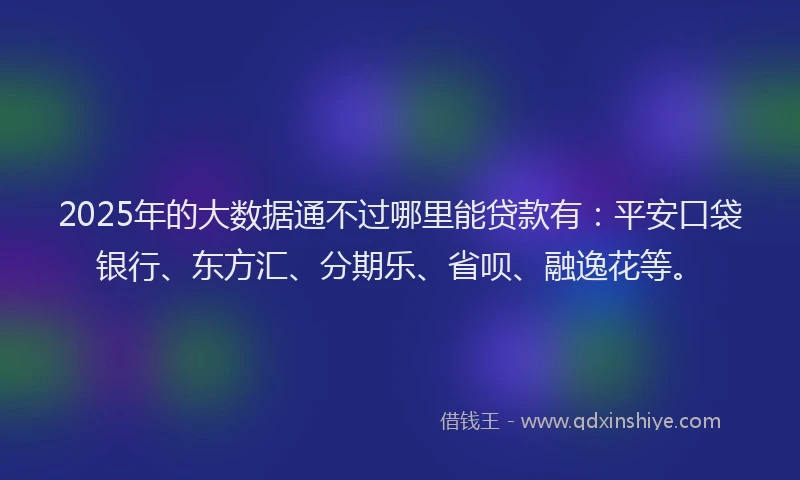 2025年的大数据通不过哪里能贷款有：平安口袋银行、东方汇、分期乐、省呗、融逸花等。