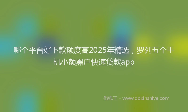 哪个平台好下款额度高2025年精选，罗列五个手机小额黑户快速贷款app