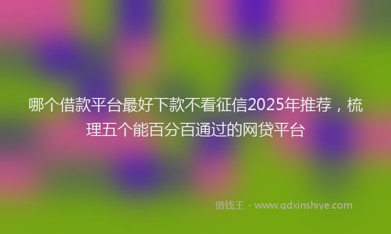 哪个借款平台最好下款不看征信2025年推荐，梳理五个能百分百通过的网贷平台