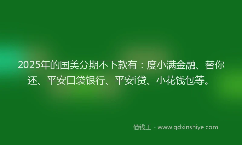 2025年的国美分期不下款有：度小满金融、替你还、平安口袋银行、平安i贷、小花钱包等。