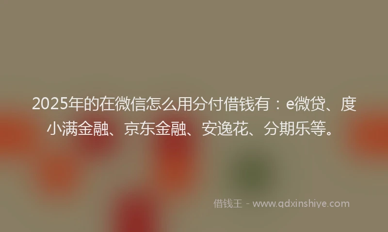 2025年的在微信怎么用分付借钱有：e微贷、度小满金融、京东金融、安逸花、分期乐等。