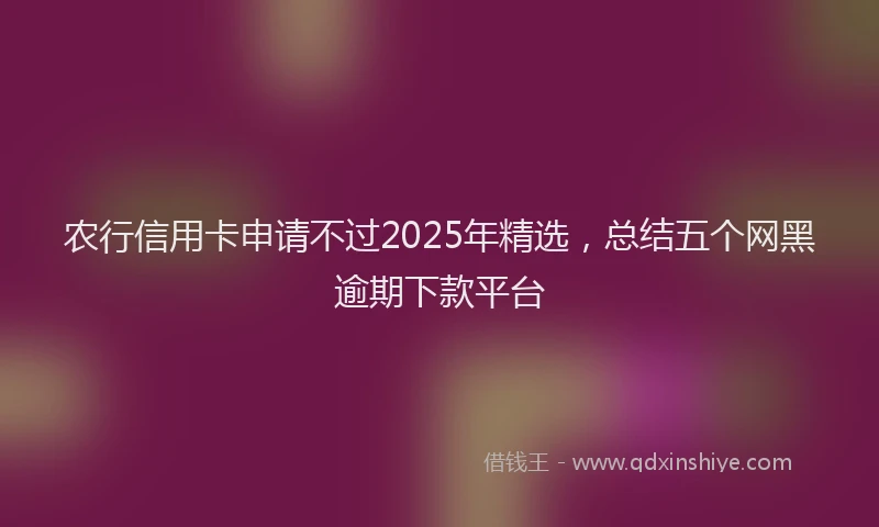 农行信用卡申请不过2025年精选，总结五个网黑逾期下款平台