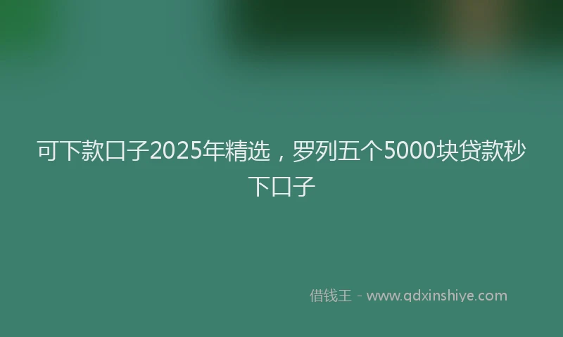 可下款口子2025年精选，罗列五个5000块贷款秒下口子