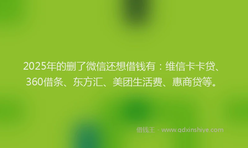 2025年的删了微信还想借钱有：维信卡卡贷、360借条、东方汇、美团生活费、惠商贷等。