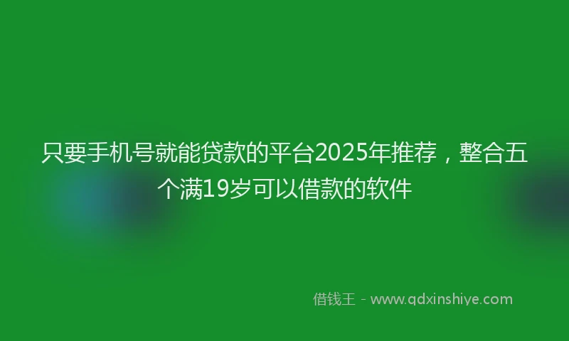 只要手机号就能贷款的平台2025年推荐，整合五个满19岁可以借款的软件