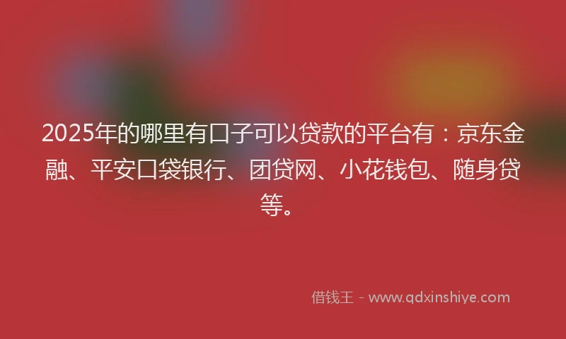 2025年的哪里有口子可以贷款的平台有：京东金融、平安口袋银行、团贷网、小花钱包、随身贷等。