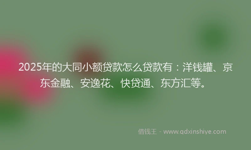 2025年的大同小额贷款怎么贷款有：洋钱罐、京东金融、安逸花、快贷通、东方汇等。