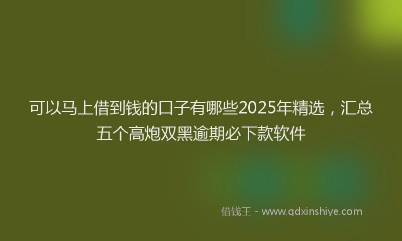可以马上借到钱的口子有哪些2025年精选，汇总五个高炮双黑逾期必下款软件