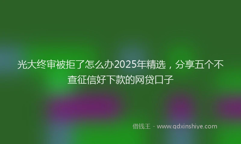 光大终审被拒了怎么办2025年精选，分享五个不查征信好下款的网贷口子