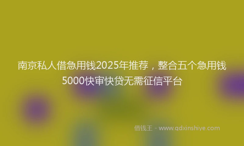 南京私人借急用钱2025年推荐，整合五个急用钱5000快审快贷无需征信平台