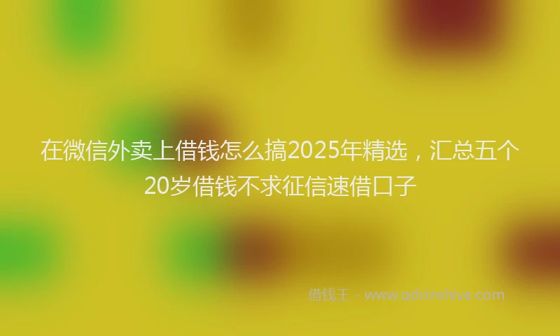 在微信外卖上借钱怎么搞2025年精选，汇总五个20岁借钱不求征信速借口子