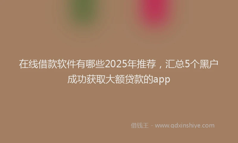 在线借款软件有哪些2025年推荐，汇总5个黑户成功获取大额贷款的app