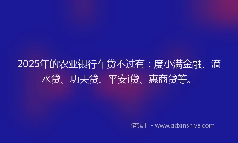 2025年的农业银行车贷不过有：度小满金融、滴水贷、功夫贷、平安i贷、惠商贷等。