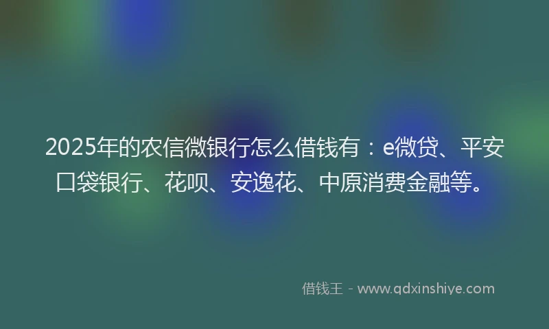 2025年的农信微银行怎么借钱有：e微贷、平安口袋银行、花呗、安逸花、中原消费金融等。