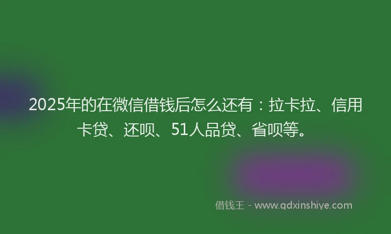 2025年的在微信借钱后怎么还有：拉卡拉、信用卡贷、还呗、51人品贷、省呗等。