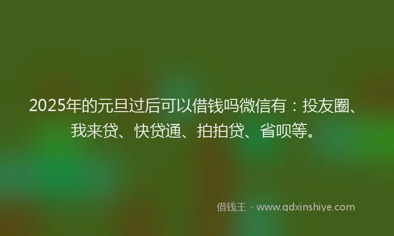 2025年的元旦过后可以借钱吗微信有：投友圈、我来贷、快贷通、拍拍贷、省呗等。