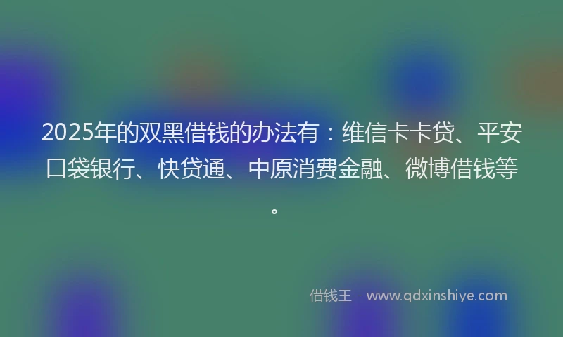 2025年的双黑借钱的办法有：维信卡卡贷、平安口袋银行、快贷通、中原消费金融、微博借钱等。