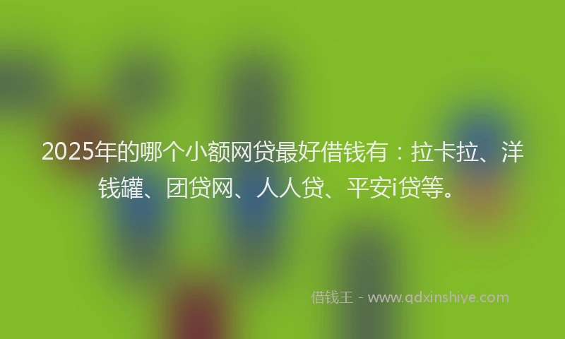 2025年的哪个小额网贷最好借钱有：拉卡拉、洋钱罐、团贷网、人人贷、平安i贷等。
