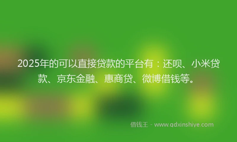 2025年的可以直接贷款的平台有：还呗、小米贷款、京东金融、惠商贷、微博借钱等。
