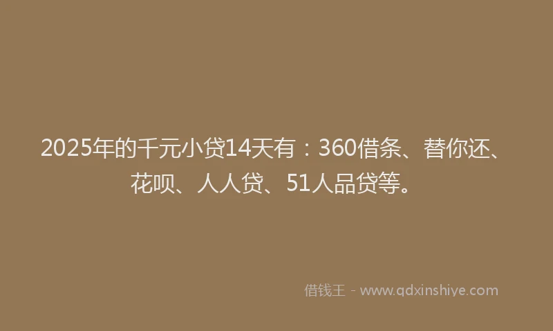 2025年的千元小贷14天有：360借条、替你还、花呗、人人贷、51人品贷等。