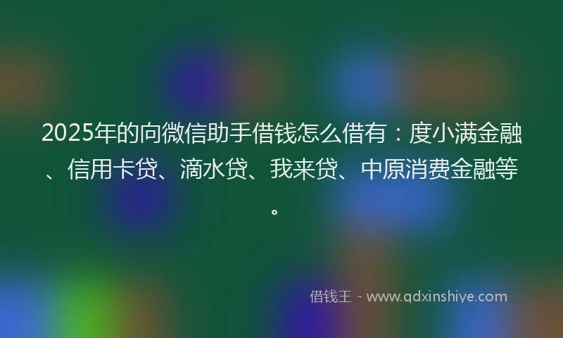 2025年的向微信助手借钱怎么借有：度小满金融、信用卡贷、滴水贷、我来贷、中原消费金融等。