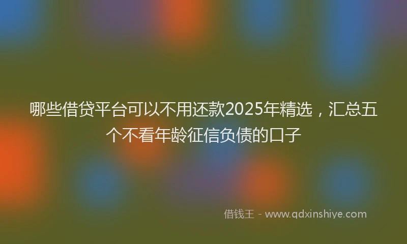 哪些借贷平台可以不用还款2025年精选，汇总五个不看年龄征信负债的口子