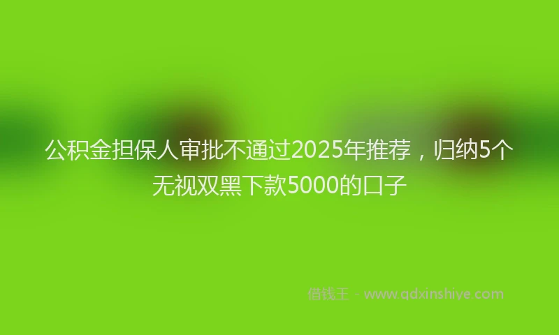 公积金担保人审批不通过2025年推荐，归纳5个无视双黑下款5000的口子