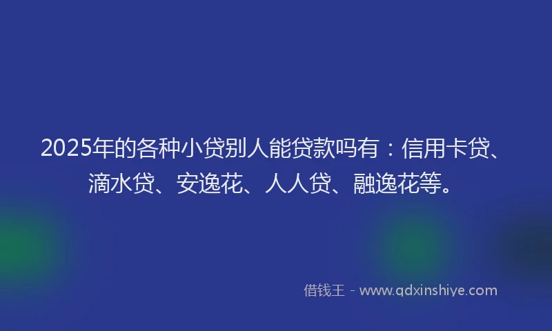 2025年的各种小贷别人能贷款吗有：信用卡贷、滴水贷、安逸花、人人贷、融逸花等。