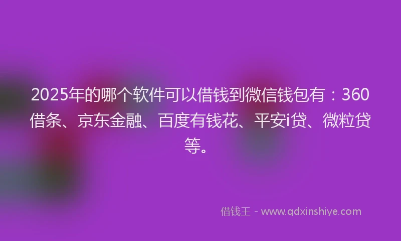 2025年的哪个软件可以借钱到微信钱包有：360借条、京东金融、百度有钱花、平安i贷、微粒贷等。