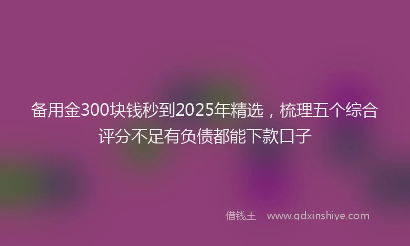 备用金300块钱秒到2025年精选，梳理五个综合评分不足有负债都能下款口子