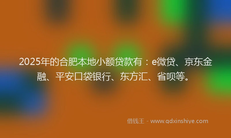 2025年的合肥本地小额贷款有：e微贷、京东金融、平安口袋银行、东方汇、省呗等。