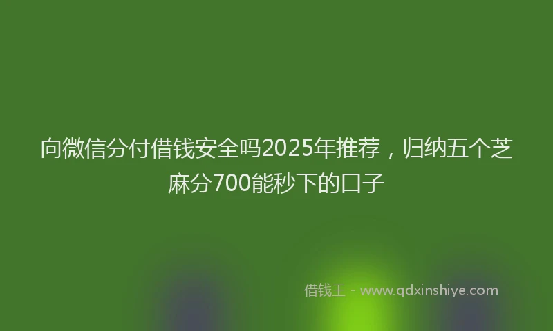 向微信分付借钱安全吗2025年推荐，归纳五个芝麻分700能秒下的口子