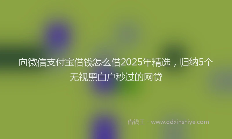 向微信支付宝借钱怎么借2025年精选，归纳5个无视黑白户秒过的网贷