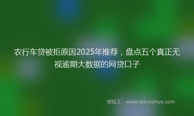 农行车贷被拒原因2025年推荐，盘点五个真正无视逾期大数据的网贷口子