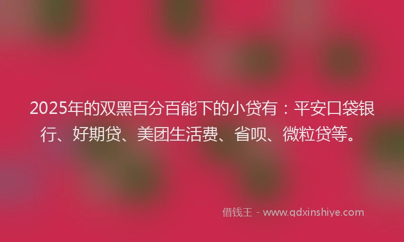2025年的双黑百分百能下的小贷有：平安口袋银行、好期贷、美团生活费、省呗、微粒贷等。