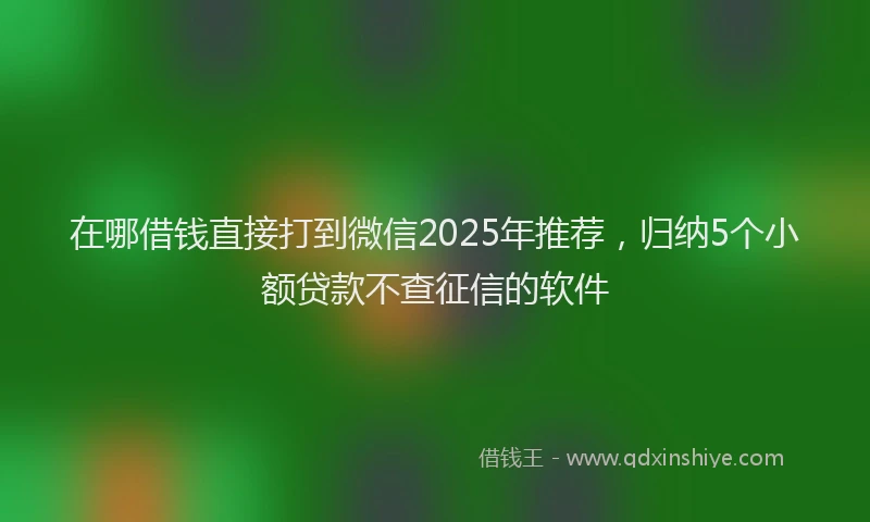 在哪借钱直接打到微信2025年推荐，归纳5个小额贷款不查征信的软件