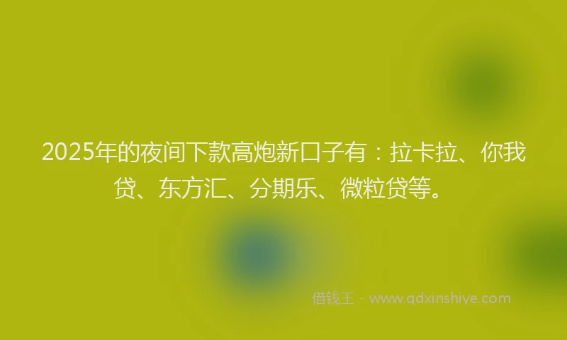 2025年的夜间下款高炮新口子有：拉卡拉、你我贷、东方汇、分期乐、微粒贷等。