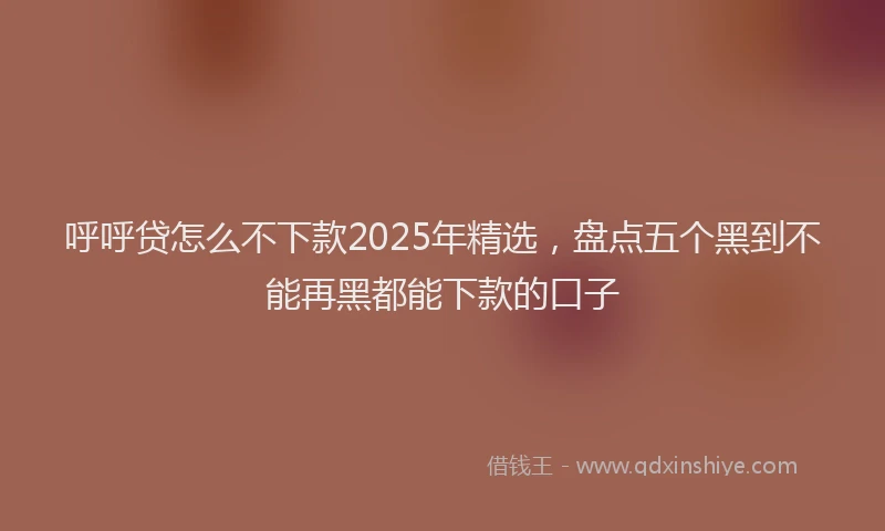 呼呼贷怎么不下款2025年精选，盘点五个黑到不能再黑都能下款的口子