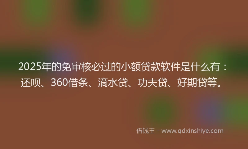 2025年的免审核必过的小额贷款软件是什么有：还呗、360借条、滴水贷、功夫贷、好期贷等。