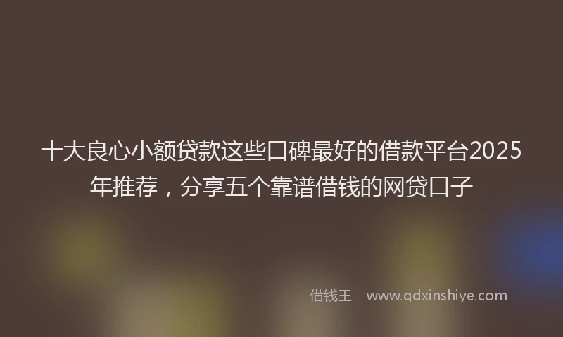 十大良心小额贷款这些口碑最好的借款平台2025年推荐，分享五个靠谱借钱的网贷口子