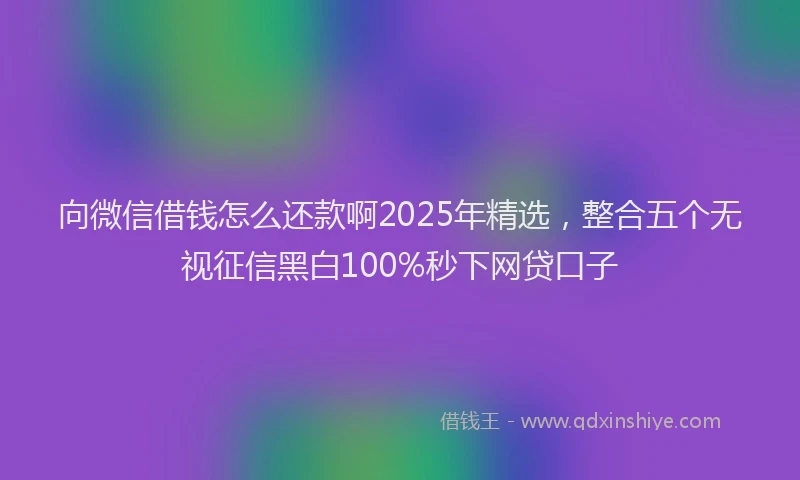 向微信借钱怎么还款啊2025年精选，整合五个无视征信黑白100%秒下网贷口子
