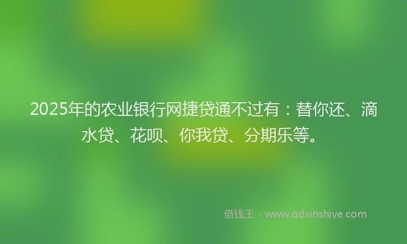 2025年的农业银行网捷贷通不过有：替你还、滴水贷、花呗、你我贷、分期乐等。