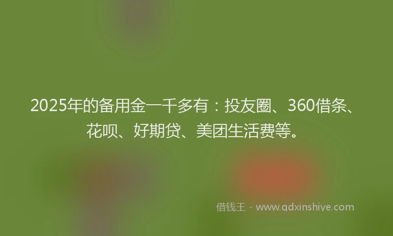 2025年的备用金一千多有：投友圈、360借条、花呗、好期贷、美团生活费等。