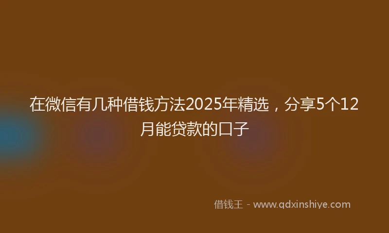 在微信有几种借钱方法2025年精选，分享5个12月能贷款的口子